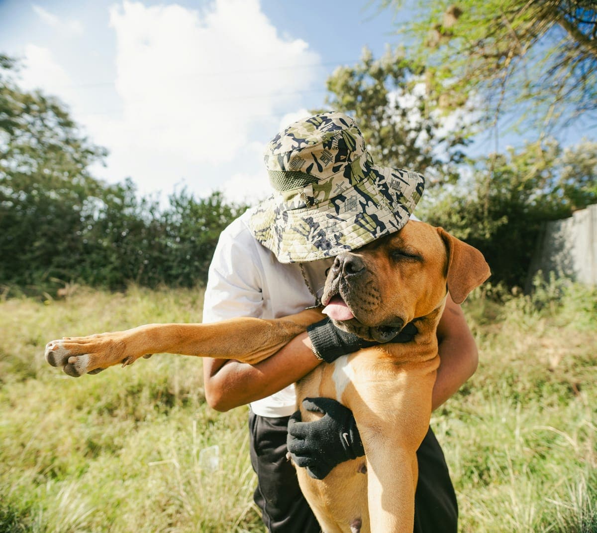 A dog at an animal volunteering opportunity in Hong Kong