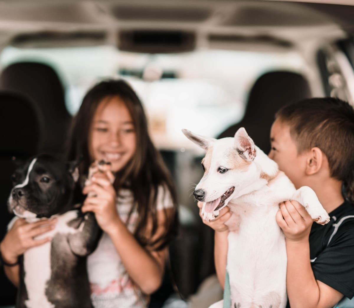 Two young volunteers holding rescue dogs in Hong Kong