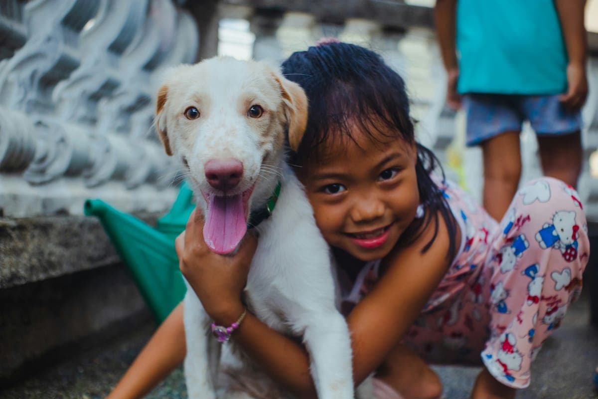 A dog at an animal volunteering opportunity in Hong Kong